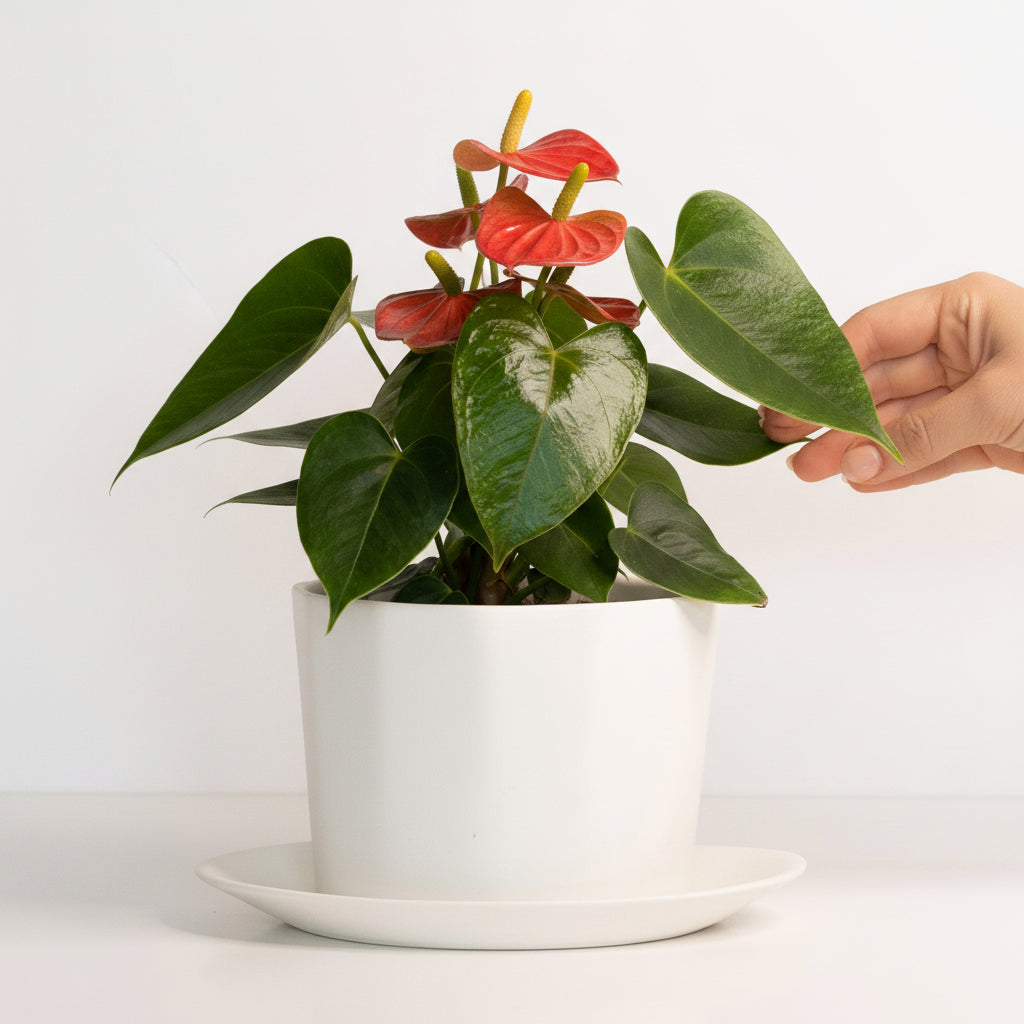 Geometric Oval Handmade Porcelain Planter